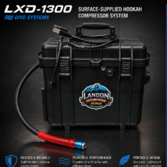 Air compressor LDX 1300 INCLUDES Hose And regulator